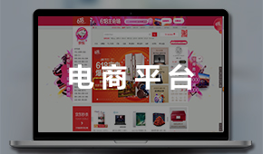 電商平臺(tái)：電子商務(wù)運(yùn)營(yíng)平臺(tái)